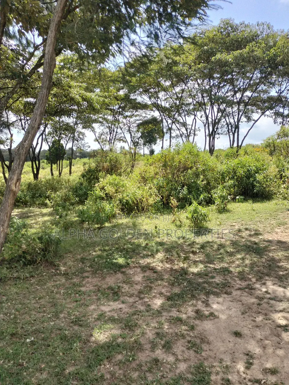 Land Subdivided Into Acres in Nanyuki Airstrip Area