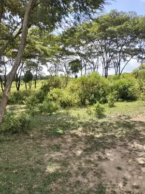 Land Subdivided Into Acres in Nanyuki Airstrip Area