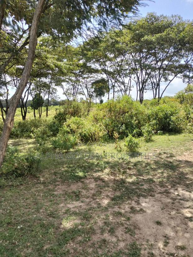 Land Subdivided Into Acres in Nanyuki Airstrip Area - thumbnail 4