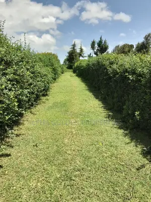 3/4 Acre in Nanyuki