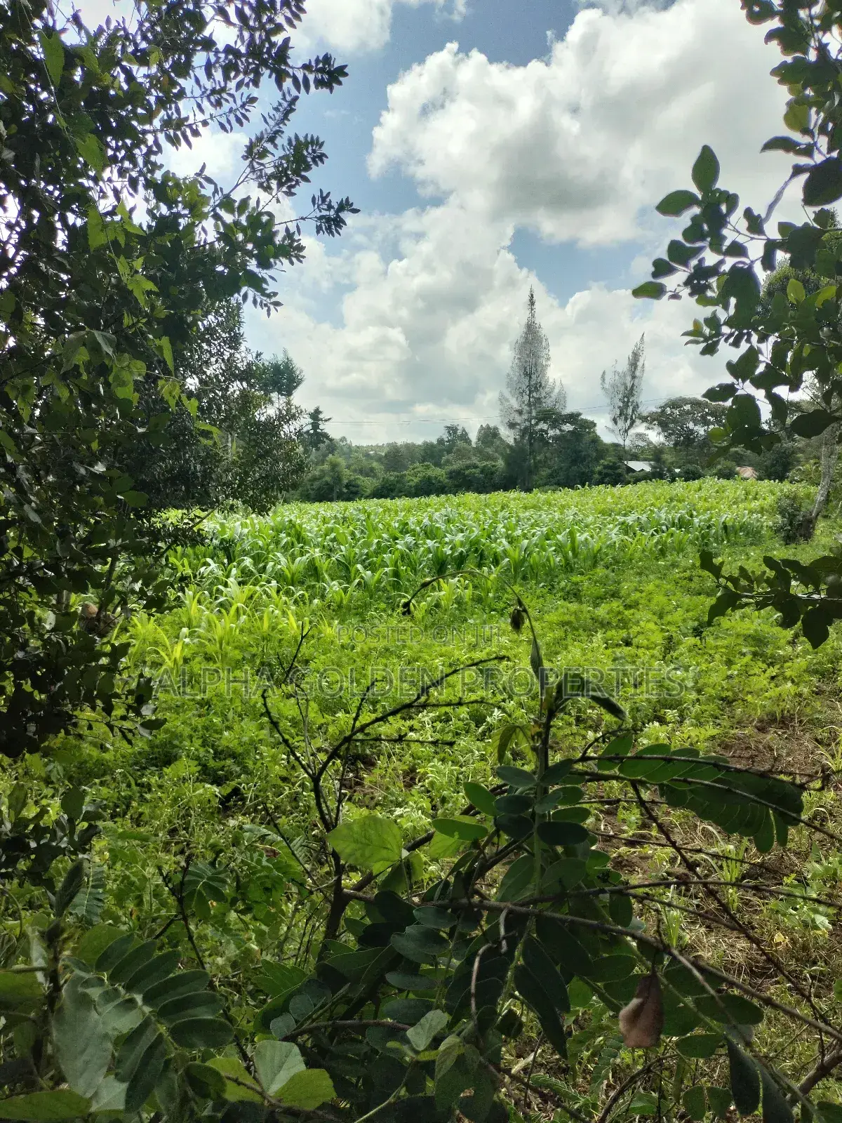 3/4 Acre in Nanyuki