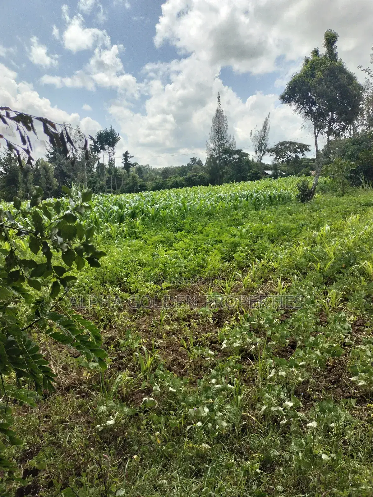 3/4 Acre in Nanyuki