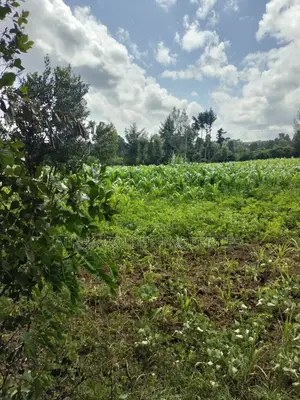 3/4 Acre in Nanyuki