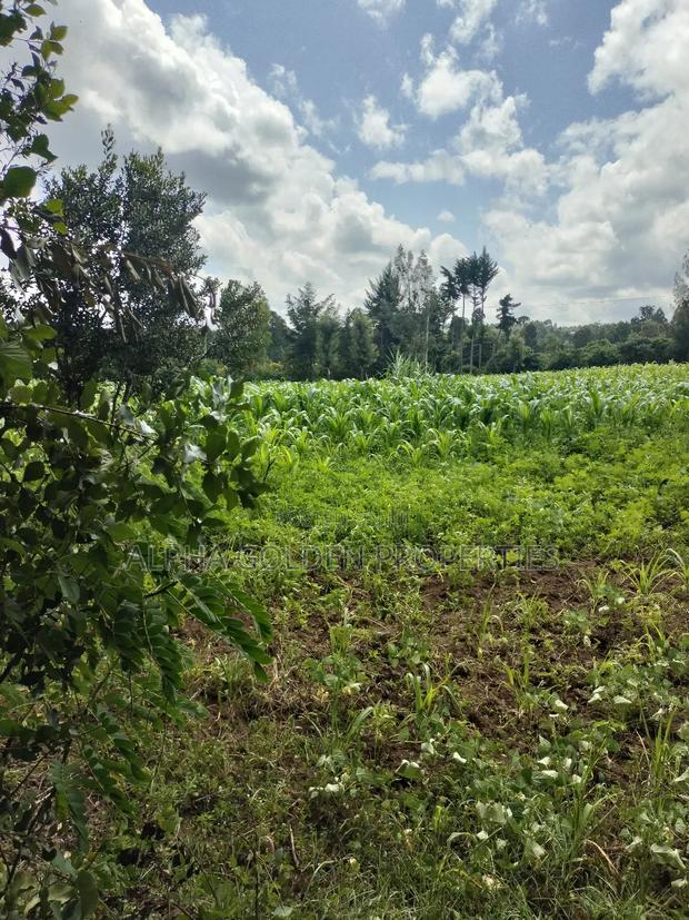 3/4 Acre in Nanyuki - thumbnail 4