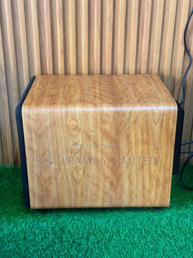 10 Inch Unisound Active Speaker - thumbnail 3