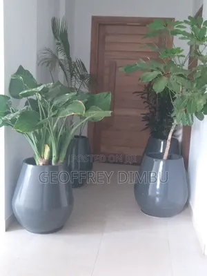 Indoor Plant Care Gardener