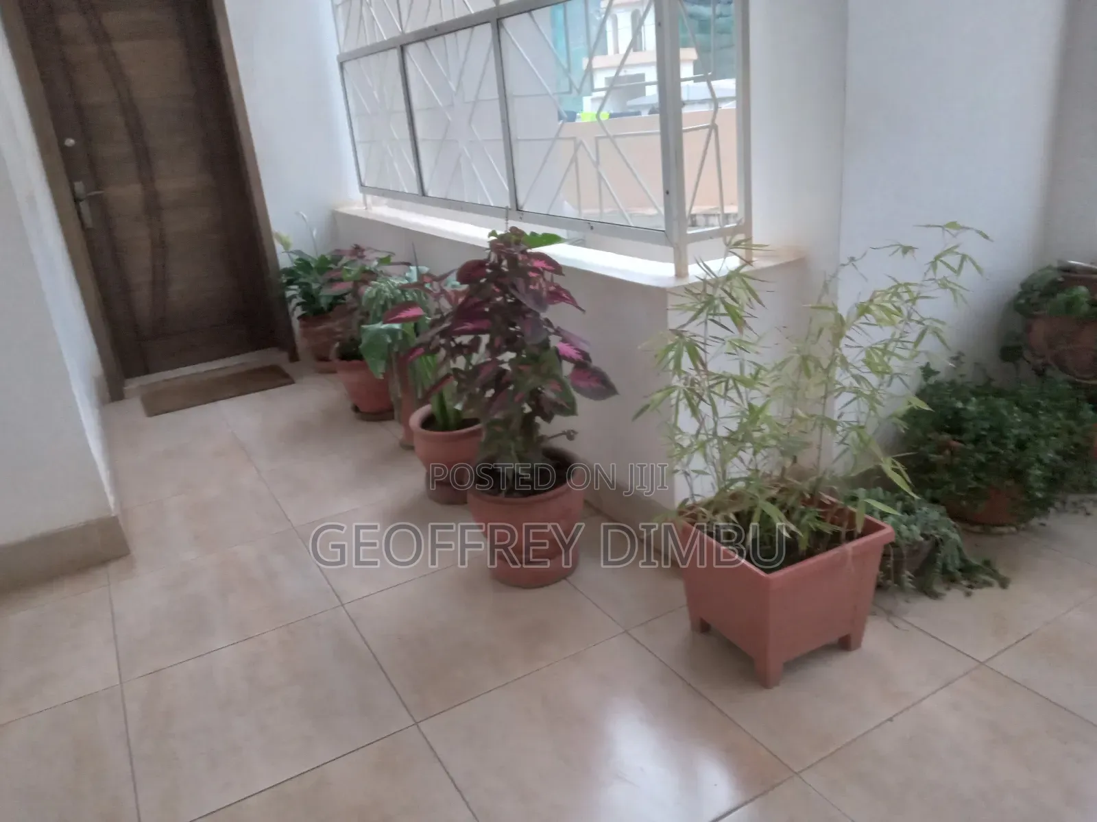 Indoor Plant Care Gardener