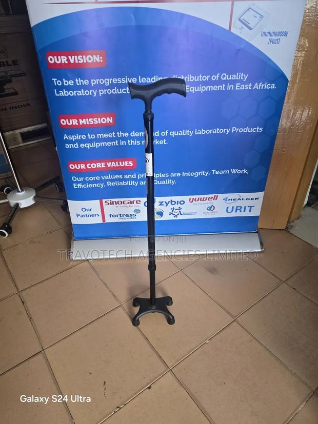 Quadruple Walking Sticks - main view