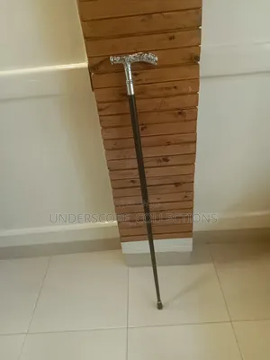 Executive Silver Functional Walking Stick