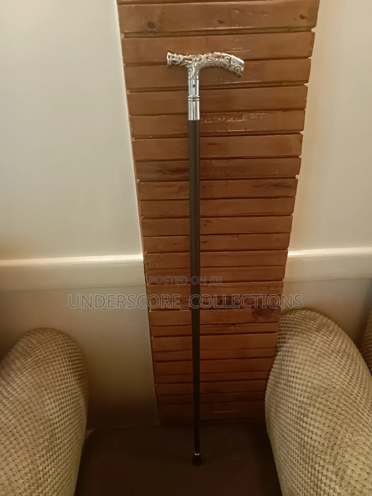 Executive Silver Functional Walking Stick