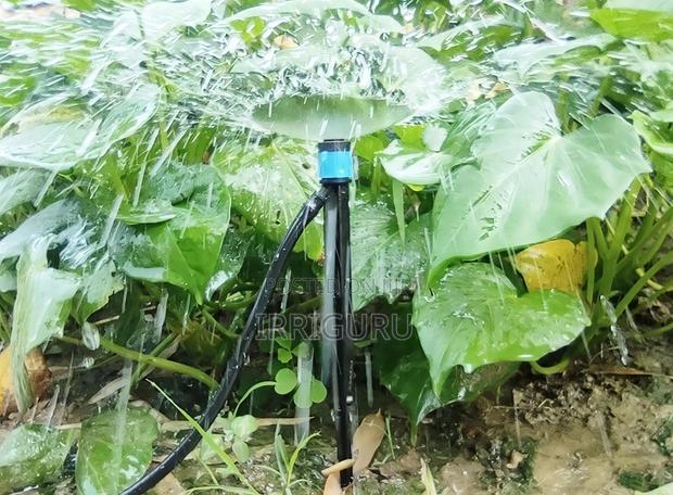 360 Fountain-Type Micro Sprinkler - main view