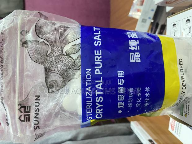 Prevent Disease – Naturally and Effectively Using Pure Salt - main view