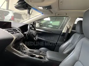 Lexus NX 300 AWD 2018 Matt Black