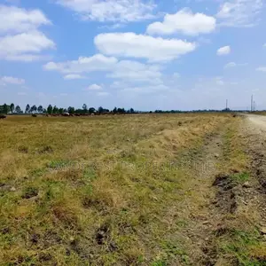 50*100 Land for Sale in Birika Town
