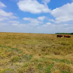 50*100 Land for Sale in Birika Town