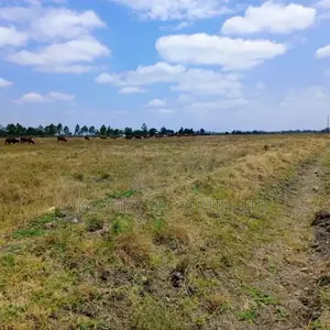 50*100 Land for Sale in Birika Town
