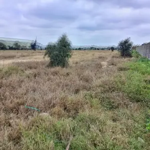 1 Acre Prime Land for Sale in Kisaju