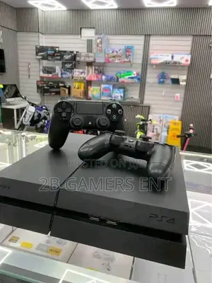 Standard 2 Pads Ps4
