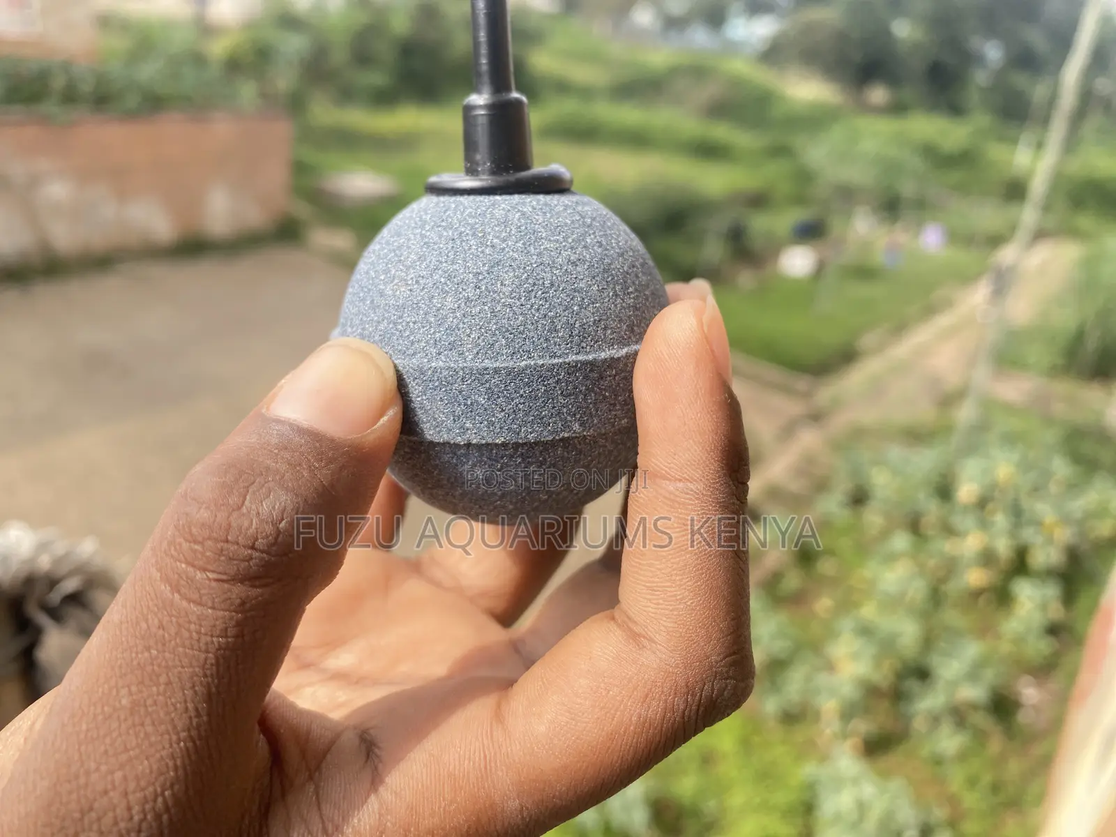 Get the Air Stone Your Tank Deserves – Shop Now!