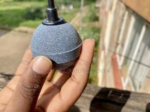 Elevate Your Tank’S Oxygen Game With This 2-Inch Air Stone - thumbnail 2