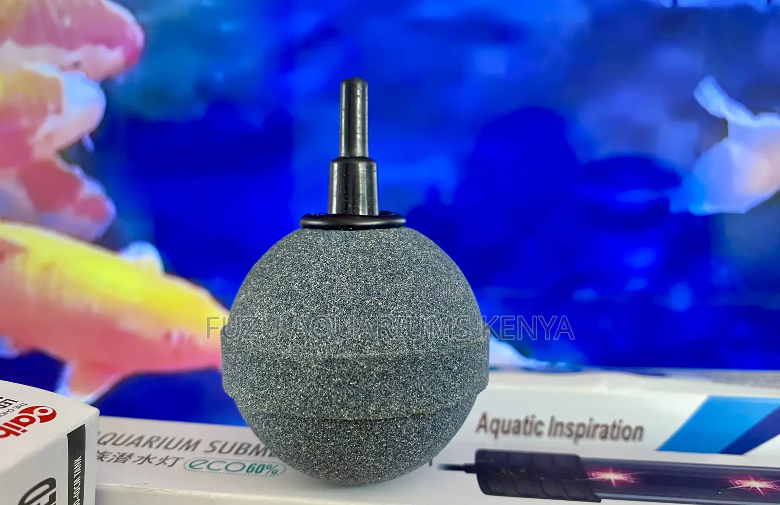 Oxygen-Rich Water Starts With the Right Air Stone