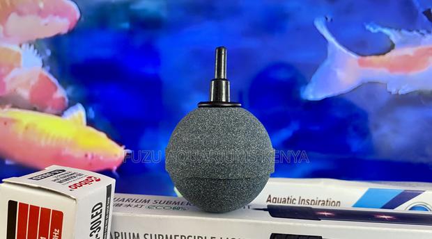 From Nano Tanks to Big Tanks–We’Ve Got Your Bubbles
