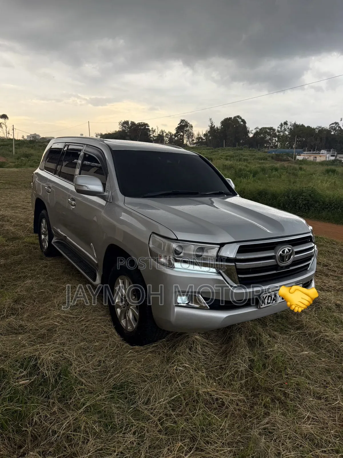 Toyota Land Cruiser 2013 Silver