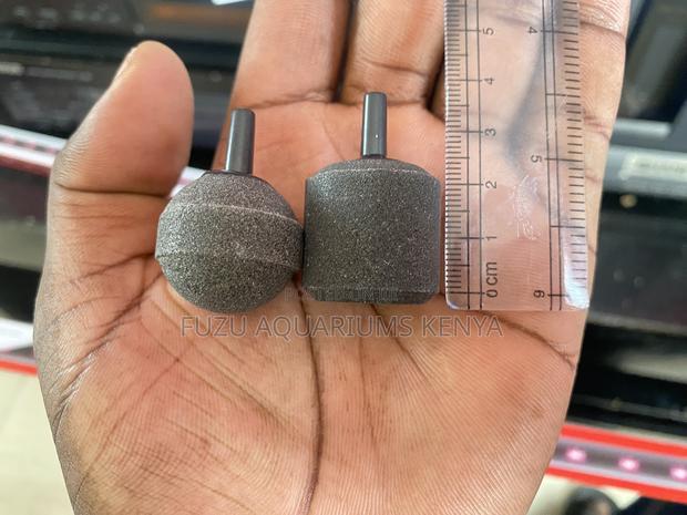 Premium Air Stone Mix – A Must-Have for Aquarists - main view