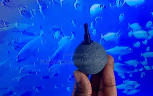 Add These to Your Tank Setup Now, Aquarium Air Stone