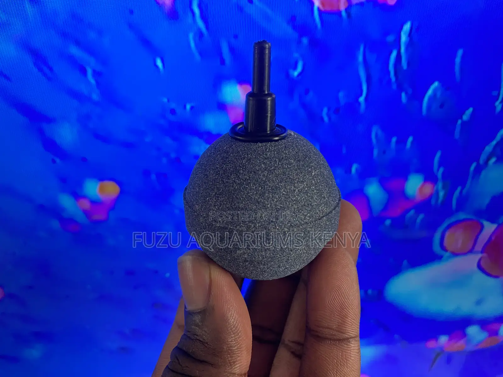 Don’T Let Your Fish Run Out of Breath, Using Air Stone
