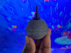 Don’T Let Your Fish Run Out of Breath, Using Air Stone