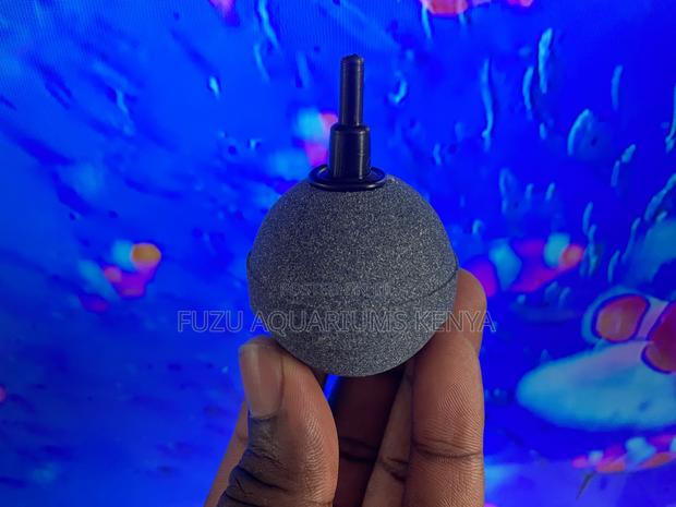 Don’T Let Your Fish Run Out of Breath, Using Air Stone