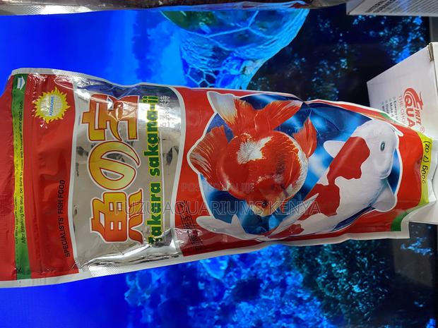 Daily Fish Pellets Packed With Essential Nutrients - main view