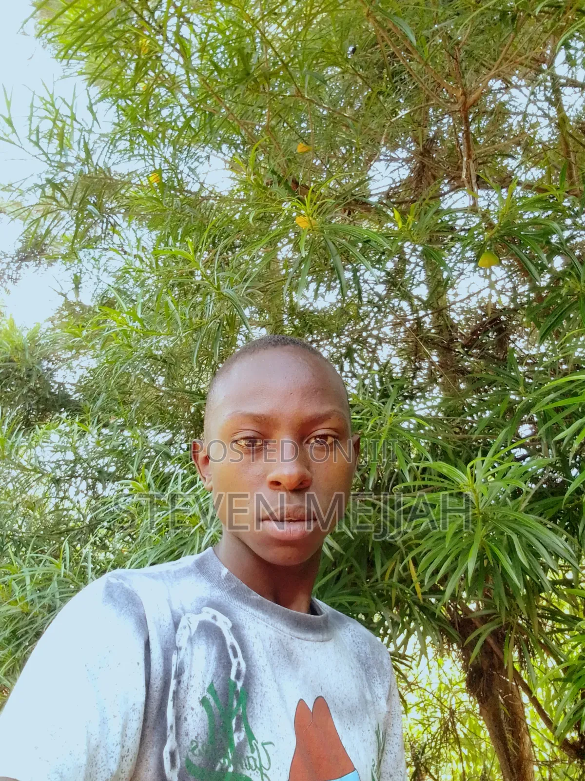 Stephen Mutisya