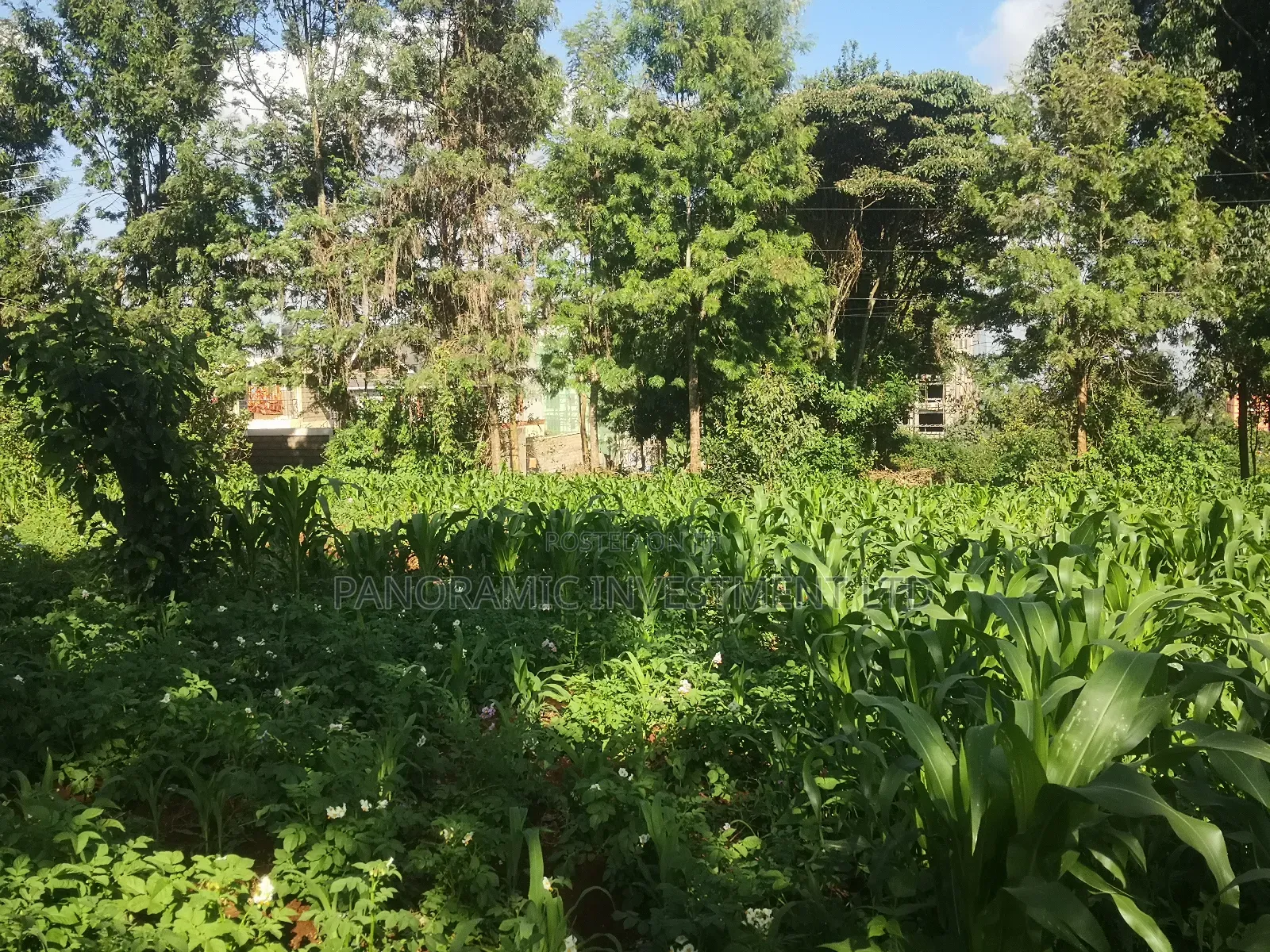 100x100 Plot in Gitaru Kikuyu Kiambu County.
