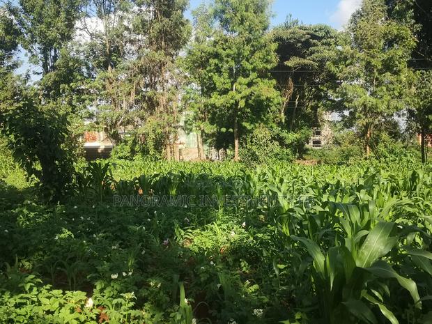 100x100 Plot in Gitaru Kikuyu Kiambu County. - thumbnail 4