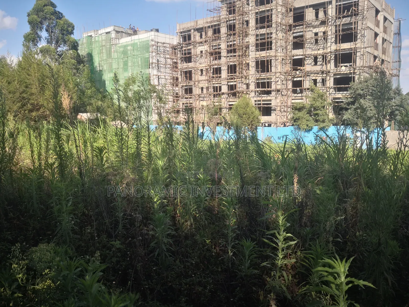 100x100 Plot in Gitaru Kikuyu Kiambu County.