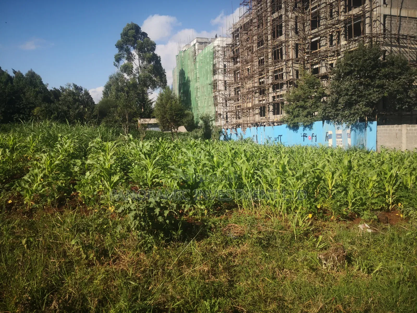 100x100 Plot in Gitaru Kikuyu Kiambu County.
