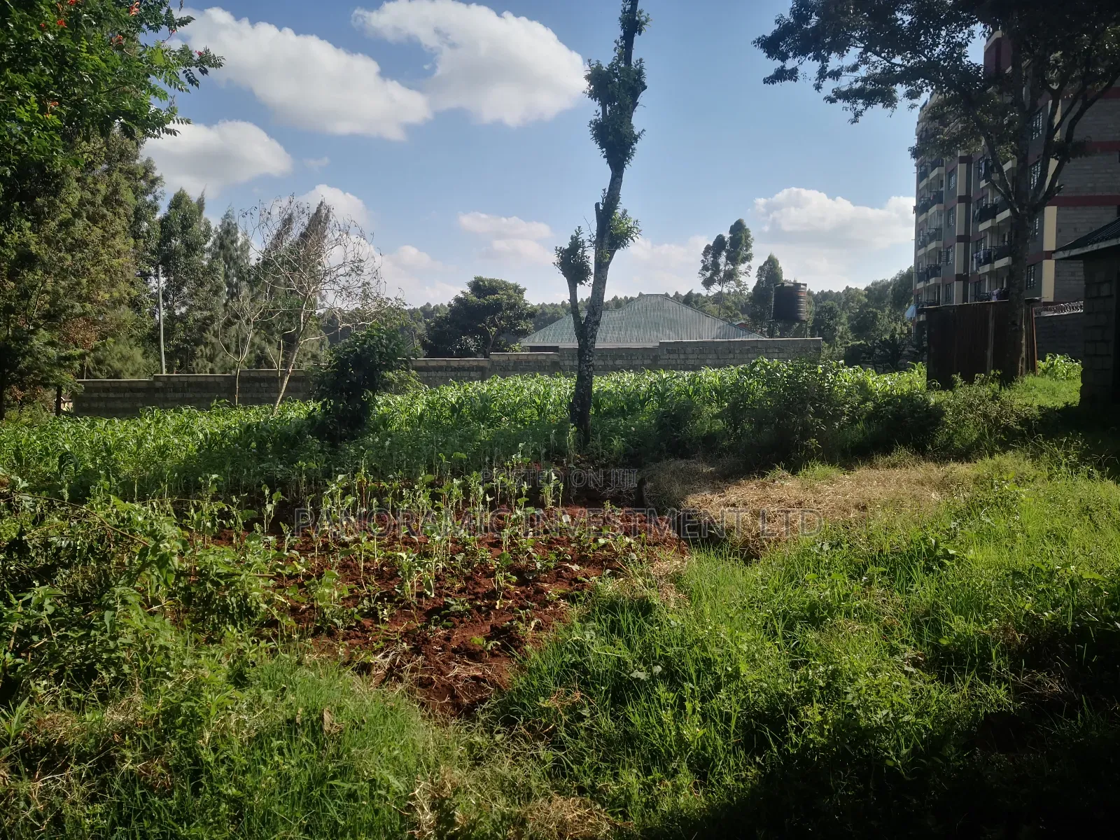 100x100 Plot in Gitaru Kikuyu Kiambu County.