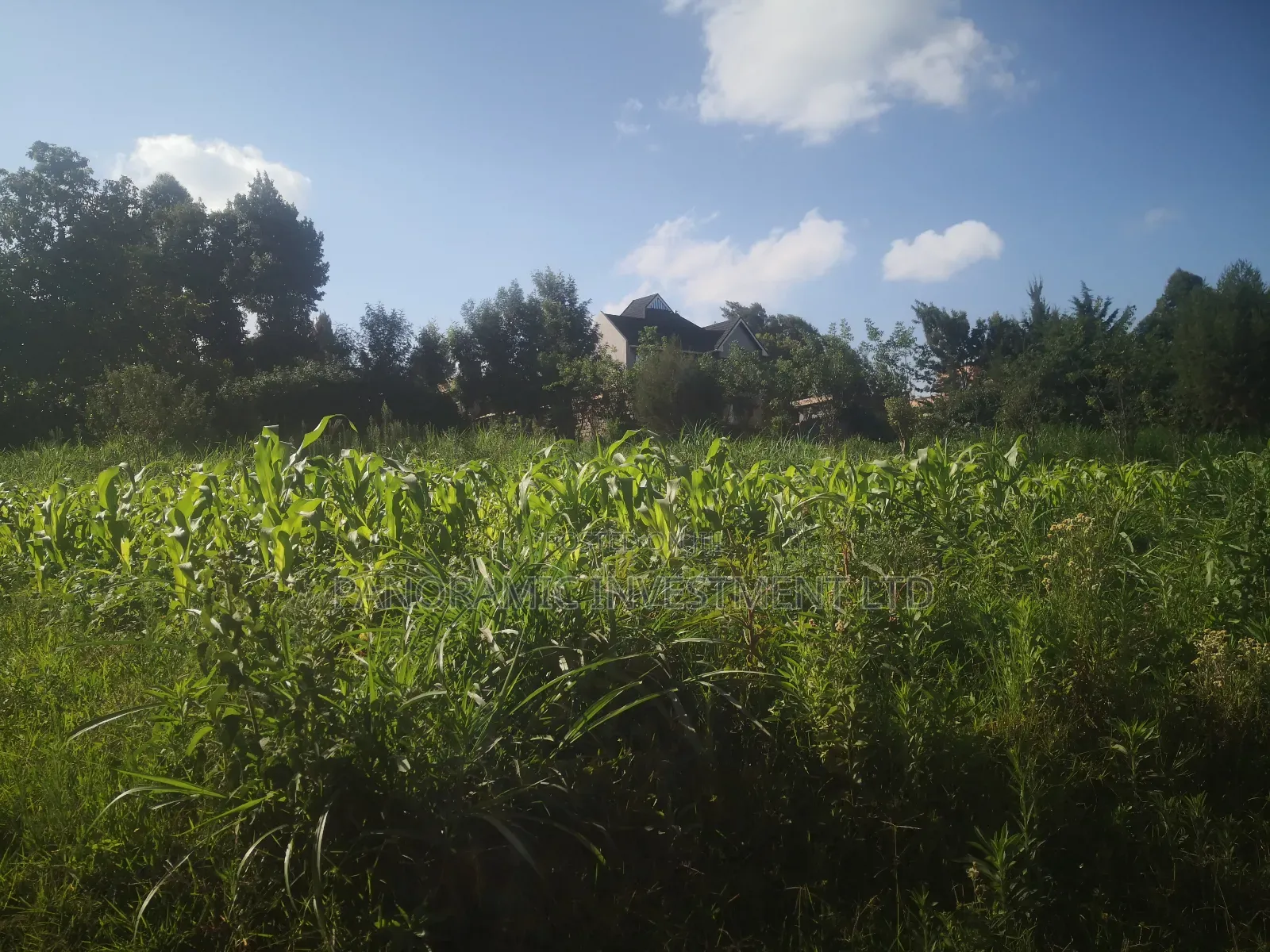 100x100 Plot in Gitaru Kikuyu Kiambu County.