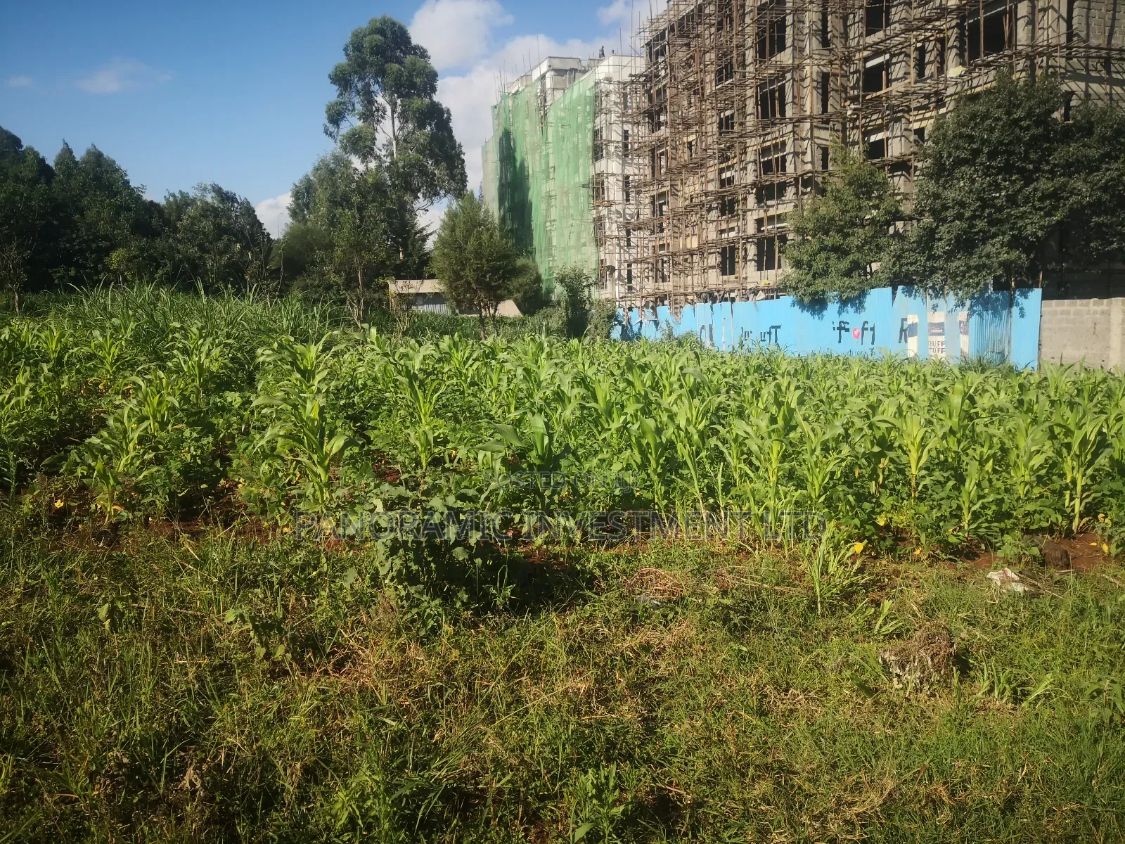 100x100 Plot in Gitaru Kikuyu Kiambu County.