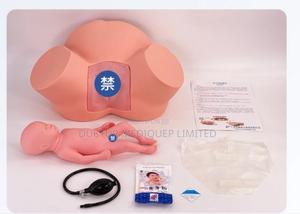 Advanced Difficult Labor Training Model