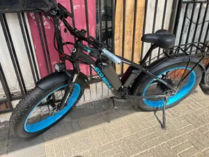 E Bike 48v 13ah - Long Range Cargo Electric Bike