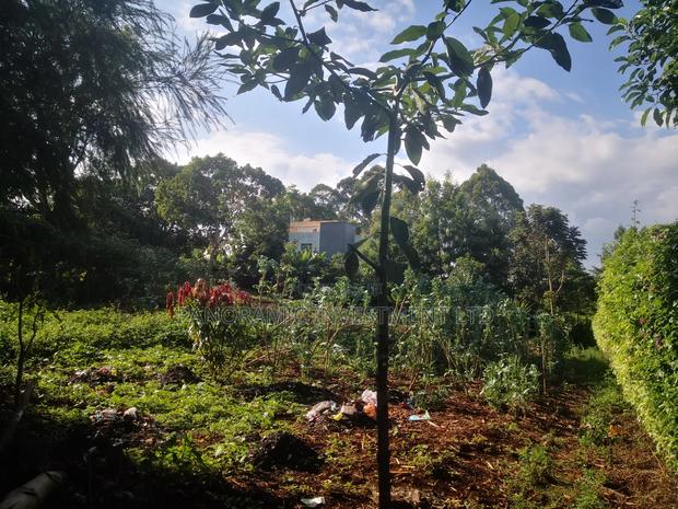 Quarter Acre Plot for Sale in Fortsmith Kabete Kiambu. - thumbnail 6
