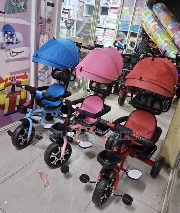 Kids Tricycle With Push Handle and Canopy