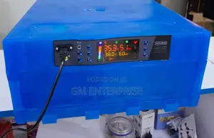 Automatic 64 Eggs Incubator