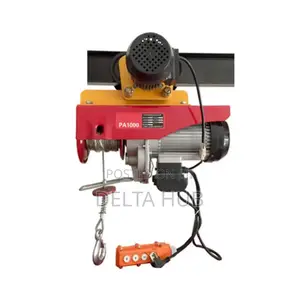 Mini Electric Hoist Lifting Tools Windlass 1000kg Hoist