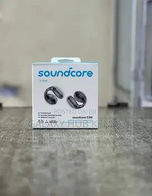Anker Soundcore C30i