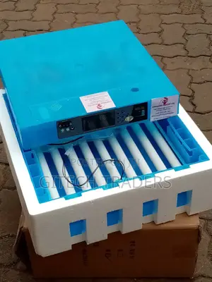 Egg Incubator 64 Egg