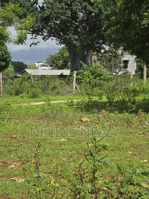 Bofa Plots Kilifi Walking Distance From Highway
